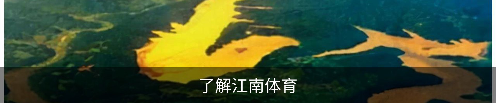 了解江南体育